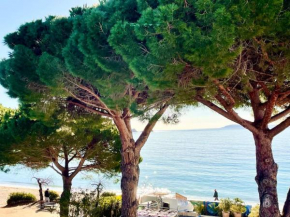 Appartement les pieds dans l'eau à Cavalière (Lavandou 83)